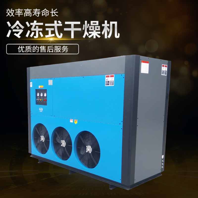 專業(yè)冷凍式干燥機